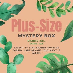 PLUS-SIZE MYSTERY BOX 2XL/3XL CURVY - FREE SHIPPING! :) Read Details Below!